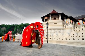 Sri Lanka in Brief - 2 Nights & 3 Days