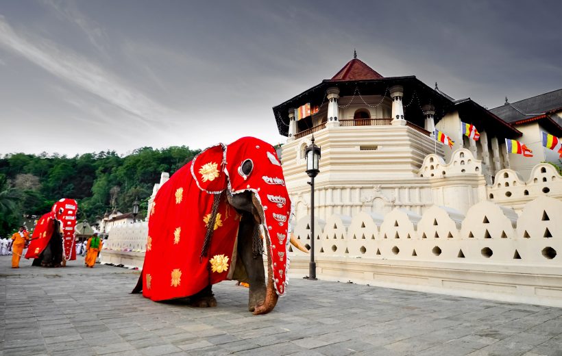 Sri Lanka in Brief - 2 Nights & 3 Days